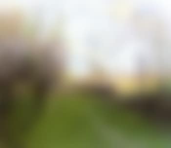 Le passage de la locomotive (preview)