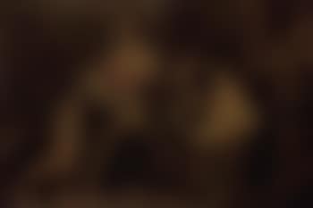 The adoration of the shepherds (preview)