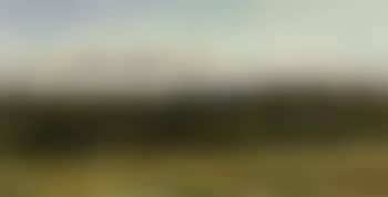 Landscape with fields and edge of forest (preview)