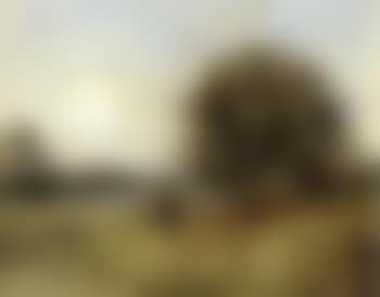 View from Dyrehaven, Jaegersborg (preview)