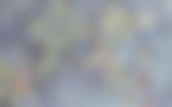 Honeysuckle (preview)