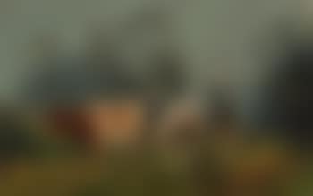 Foggy morning (preview)