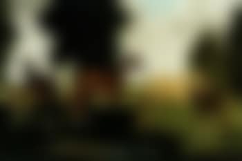 Horses grazing (preview)