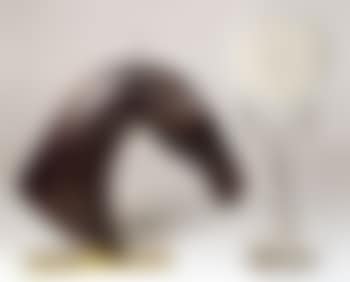 Horse's head (preview)