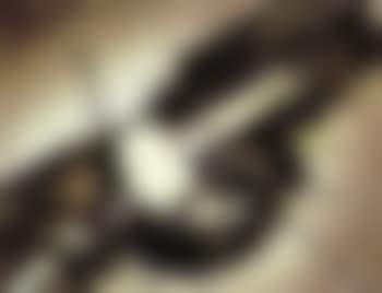 Le fils de Xerxes (preview)