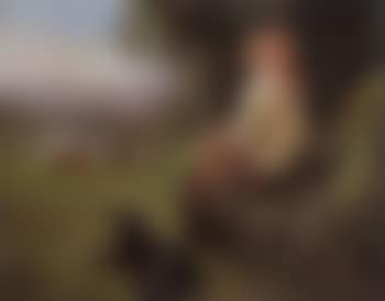 Dreaming (preview)