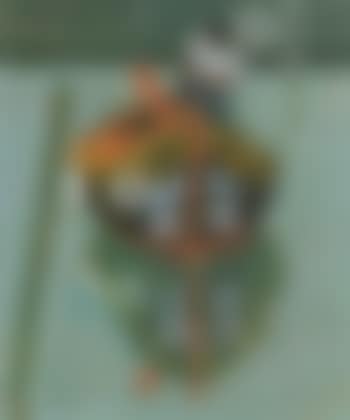 Venetian fishing boat (preview)