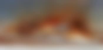 Incendiary tableaux, noon, cuts and heap (preview)
