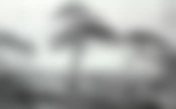 Greenwich from the park (preview)