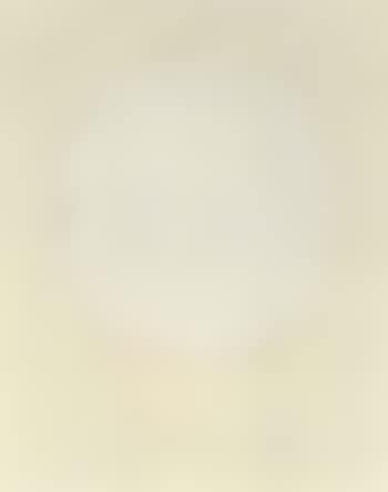 White sun (preview)