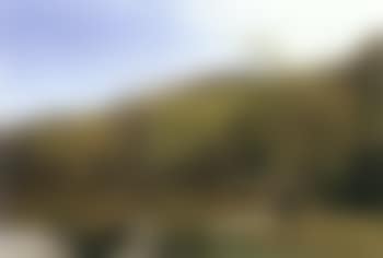 Landscape from Silkeborgs Islands (preview)