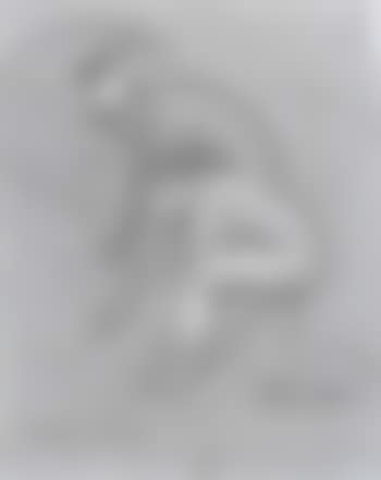 Two female nudes (preview)