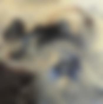 Bacarat (preview)