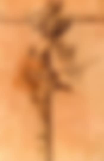 Thief crucified, the Devil pulling his soul from his mouth (preview)