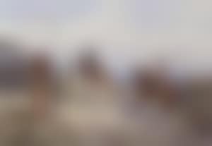 The Rifle Brigade (preview)