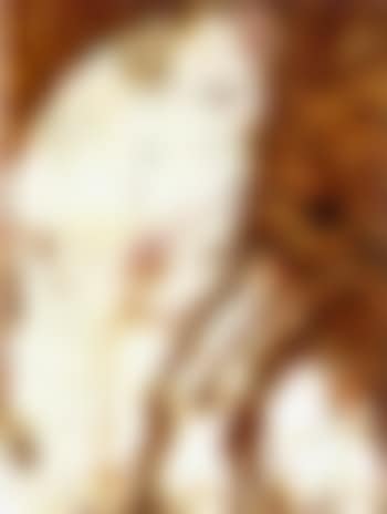 Inscape (preview)