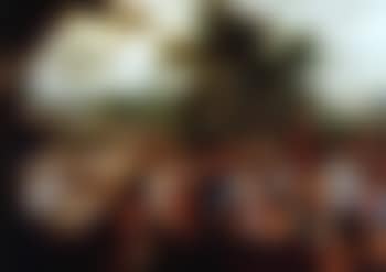 Meeting of Jacob and Joseph (preview)