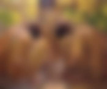 Bathing nudes under the grapevines (preview)