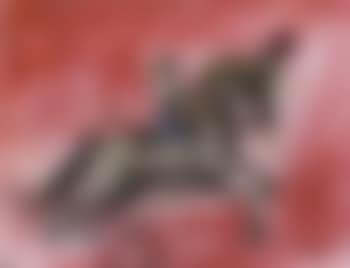 Child on carousel horse (preview)