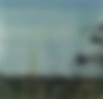 Spoonbills at the Coorong (preview)