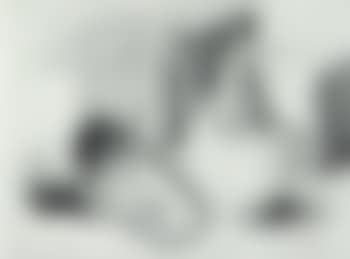 Still life (preview)