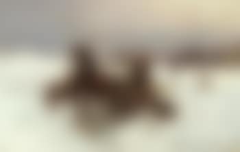 Sleigh under wolf attack (preview)