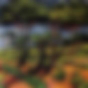 Tempest (preview)
