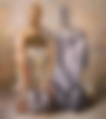 The confession (preview)