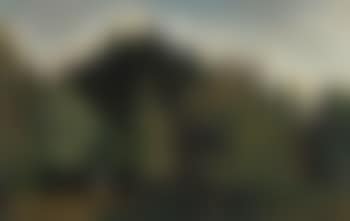 Paysage aux arbres (preview)