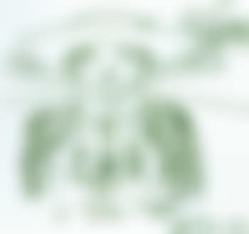 Portrait of Picador (preview)