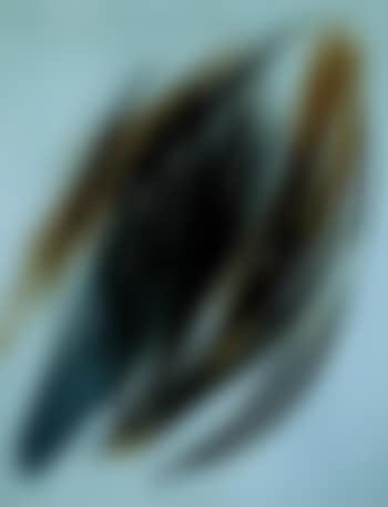 T - 7 (preview)