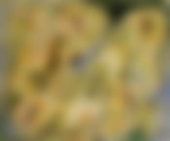 Association d'idees (preview)