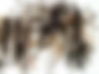 Untitled (preview)