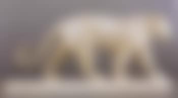 Panthere mouchetee (preview)