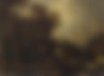 Hermit in an extensive wooded landscape (preview)