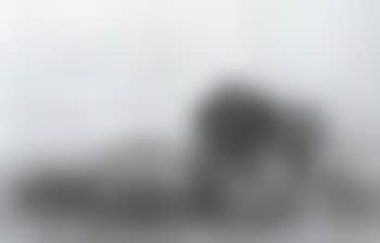 View looking across a river (preview)