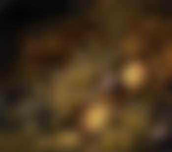 Still life of studies of fruit (preview)