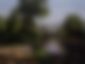 Paysage (preview)