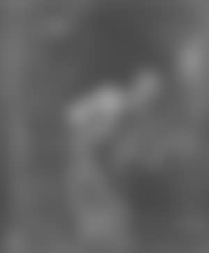 Saint Jerome (preview)