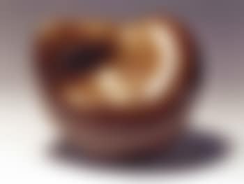Fruits aux trois nombrils (preview)