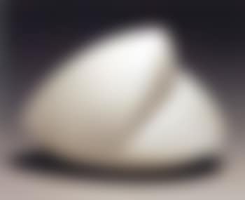 Coquille baillante (preview)