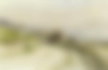 Country road with house (preview)