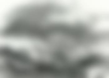 Landscape (preview)