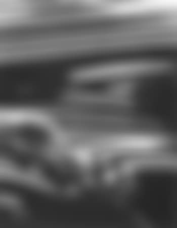 BMW wing (preview)