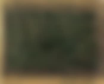 Green flag (preview)