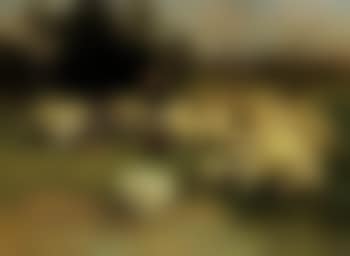 Guarding the flock (preview)
