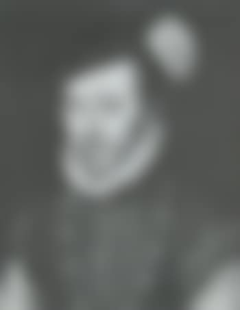 Portrait of King Charles IX (preview)