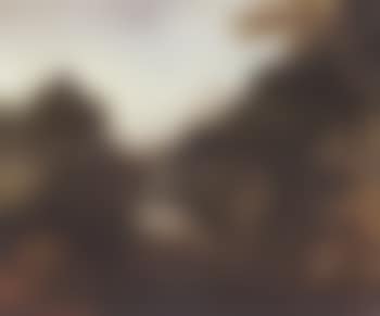 Wooded hilly landscape (preview)
