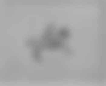 Figure on horseback (preview)
