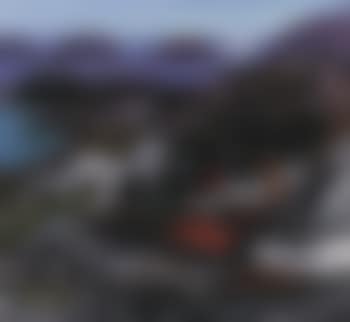 Landscape, Koster (preview)